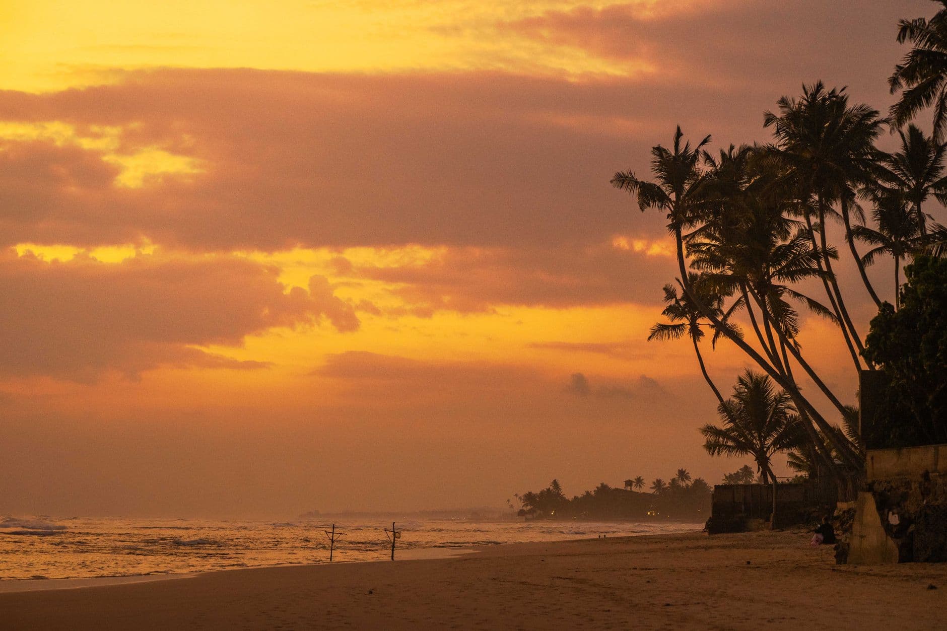 Reef and palms at golden hour in Ahangama