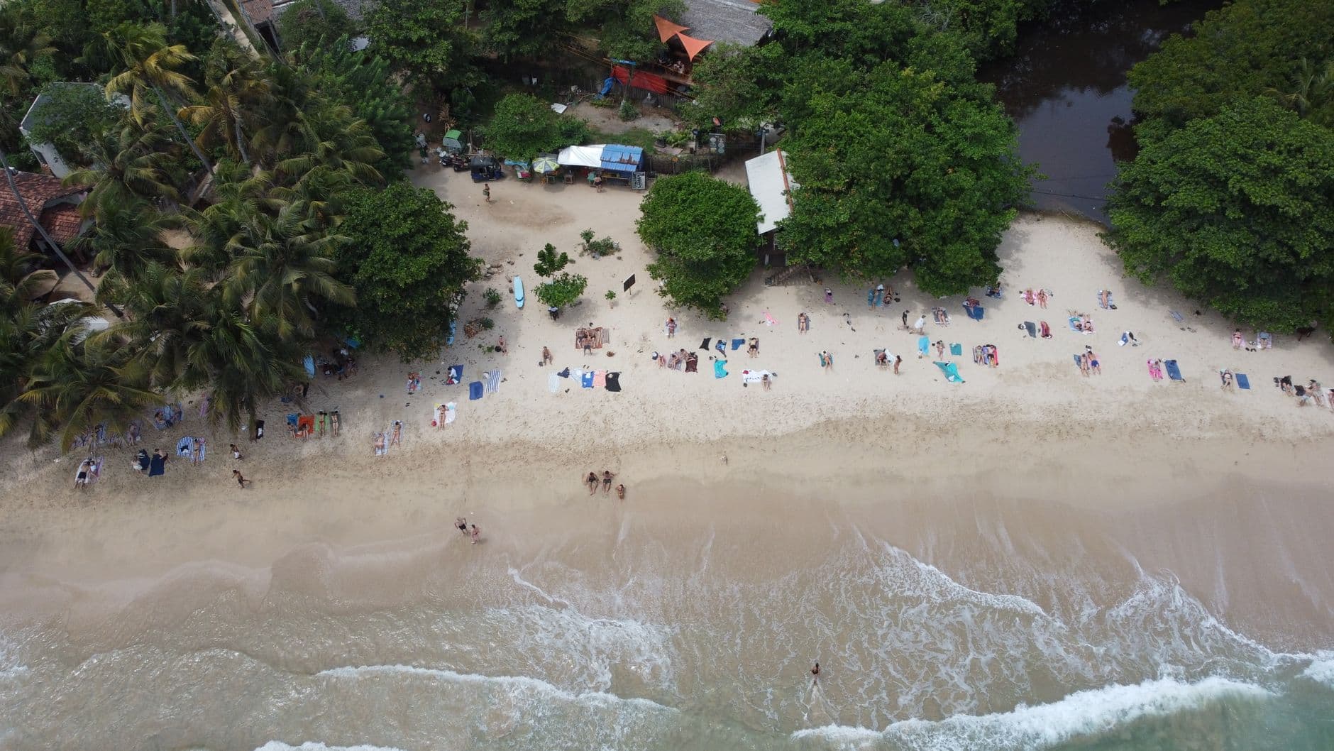 The palm-backed sweep of beach at Dickwella from above
