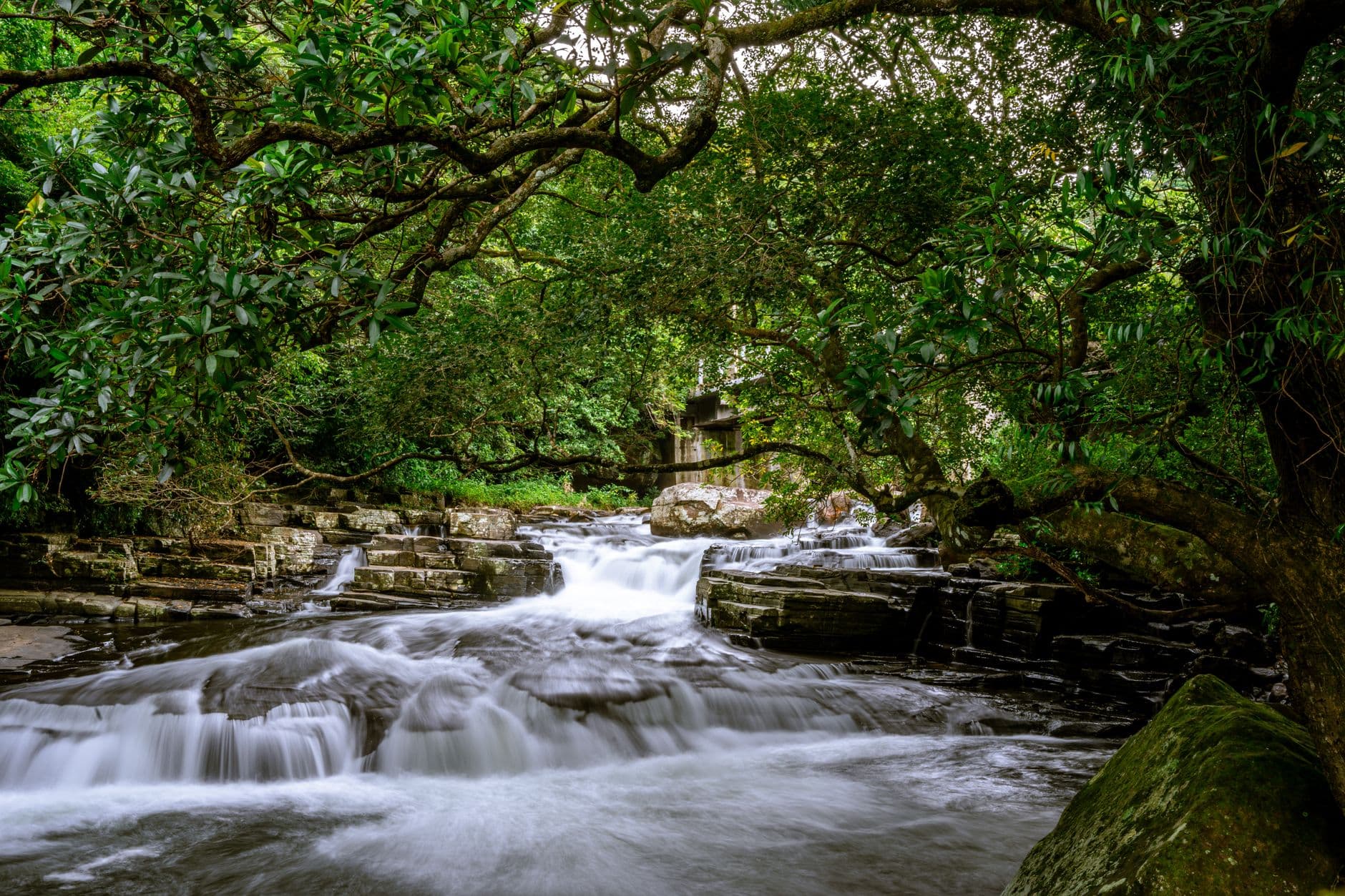 The Kelani River tumbling through Kitulgala's rainforest