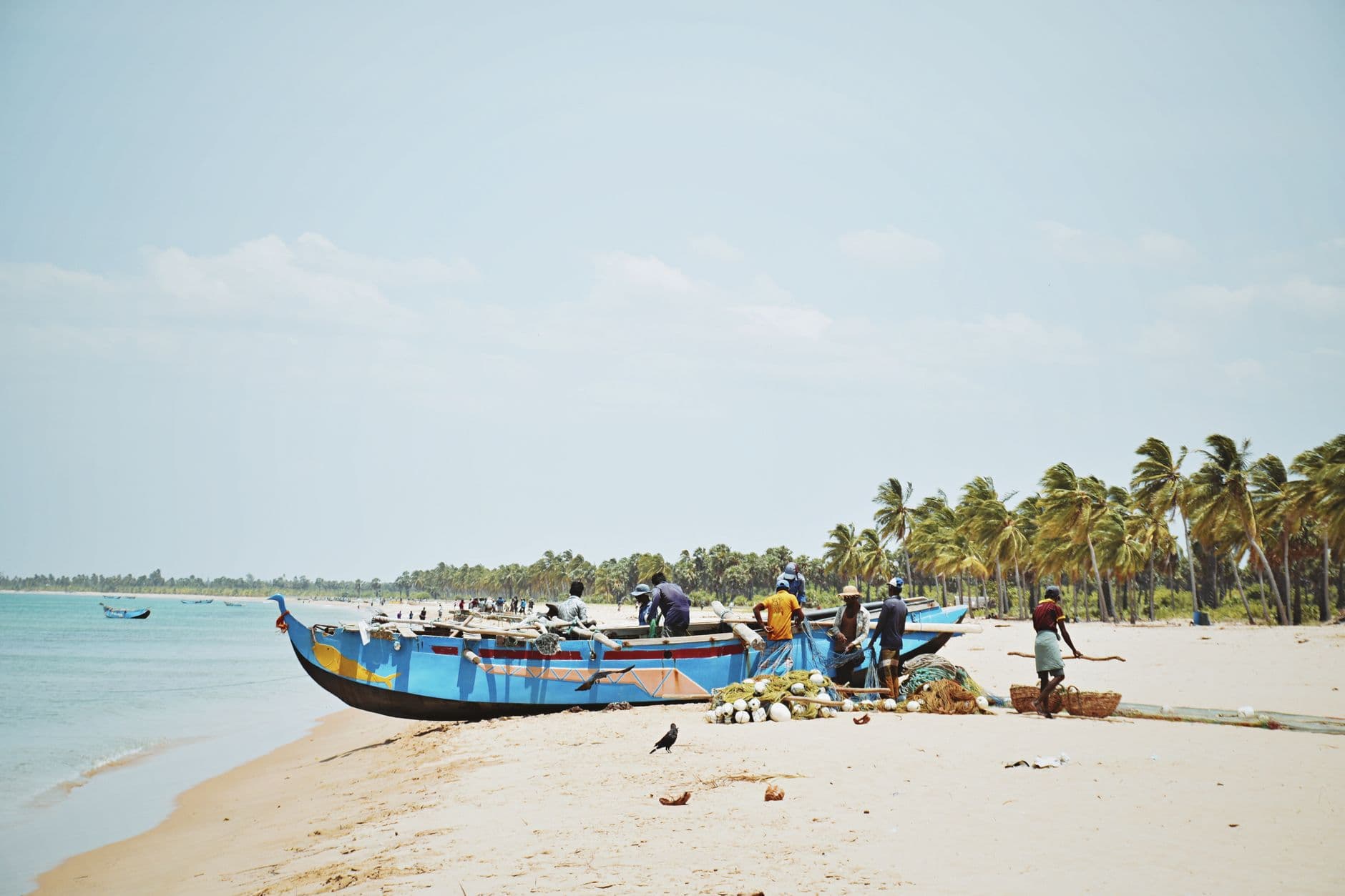 Fishermen landing the morning catch on the east-coast sand