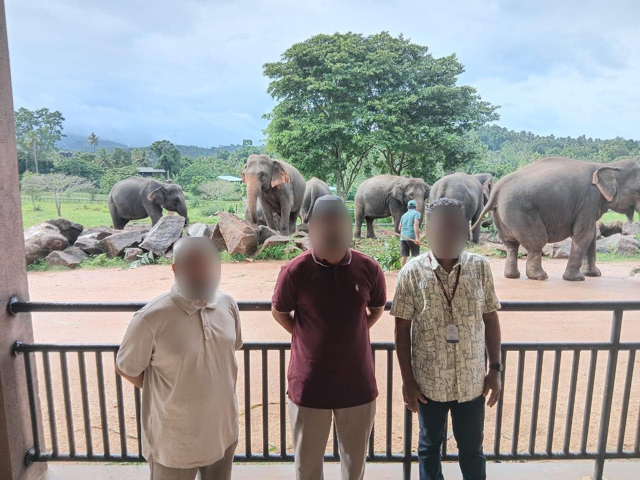 Blurred real-trip moment from Sri Lanka with CeyRoutes