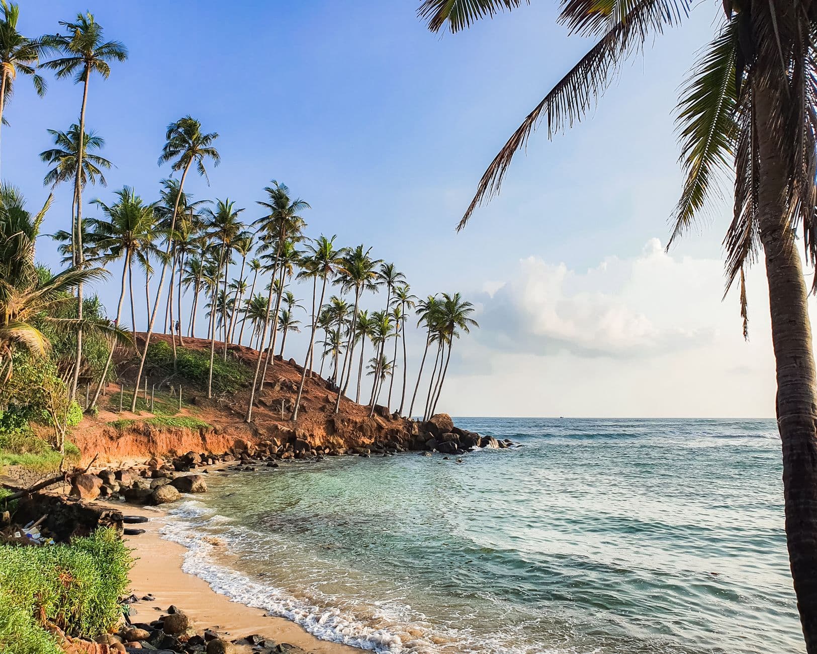 Turquoise water and palms along a Sri Lankan beach