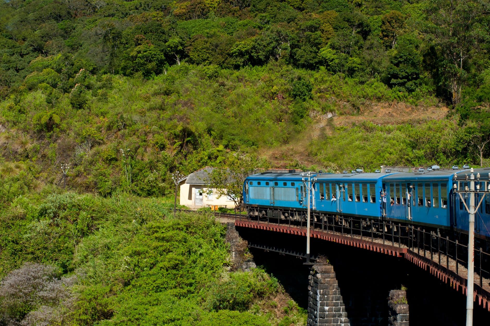 Blue train winding through Sri Lanka's green hill country