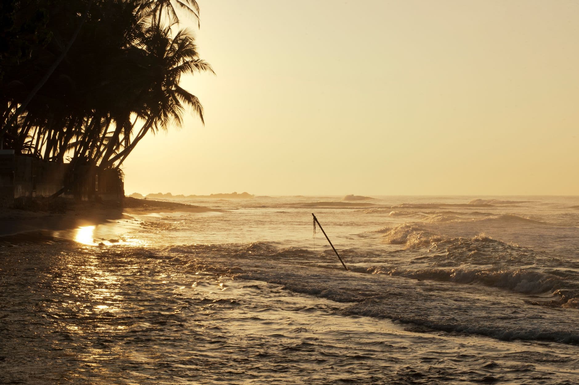 Golden-hour coast in April