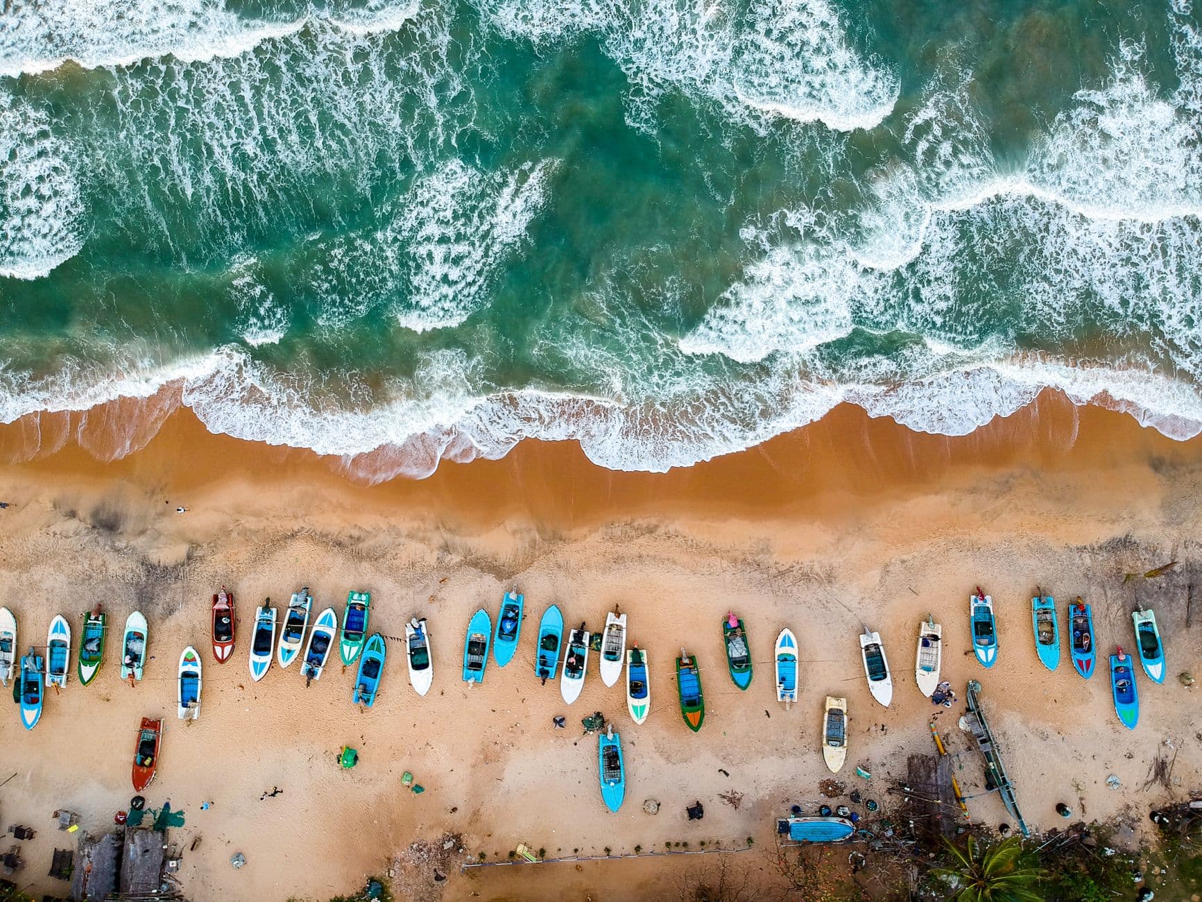 Point break and palm trees at Arugam Bay