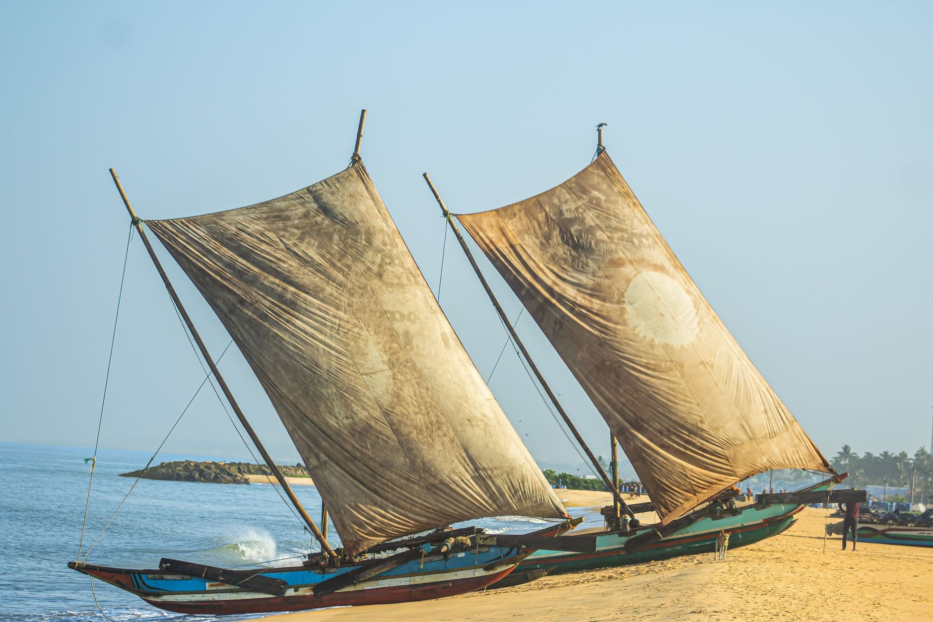 Traditional fishing boats on the beach at Negombo